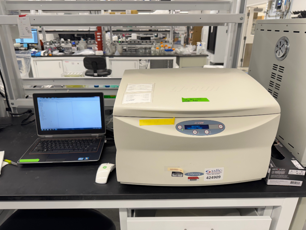 Image of Li-Cor Odyssey Imaging System